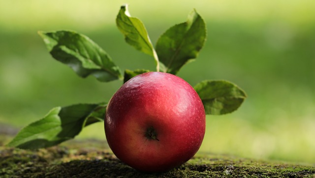 apple