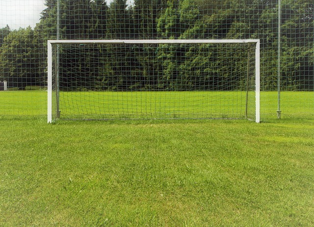 goal-setting