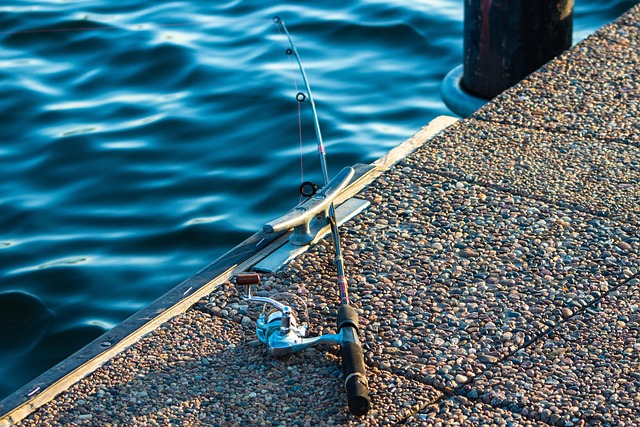fishing pole