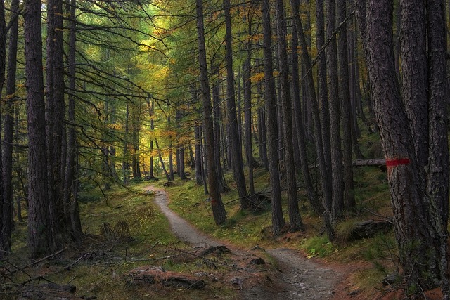 nature