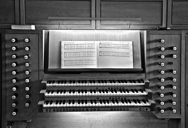 musical instrument