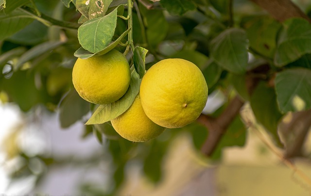 lemons