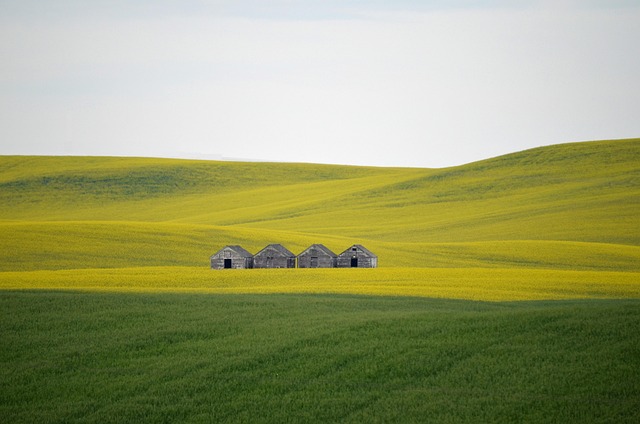 agriculture