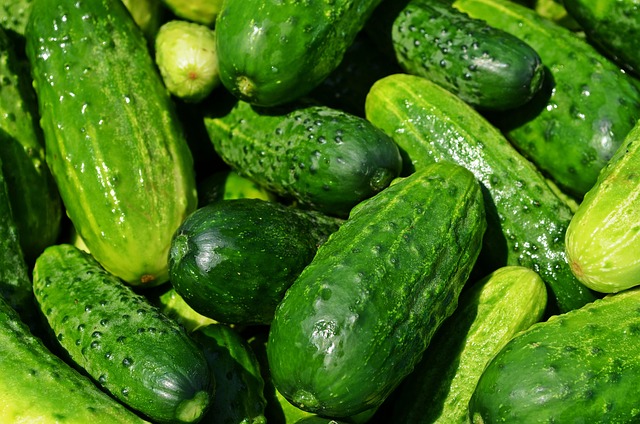 agriculture