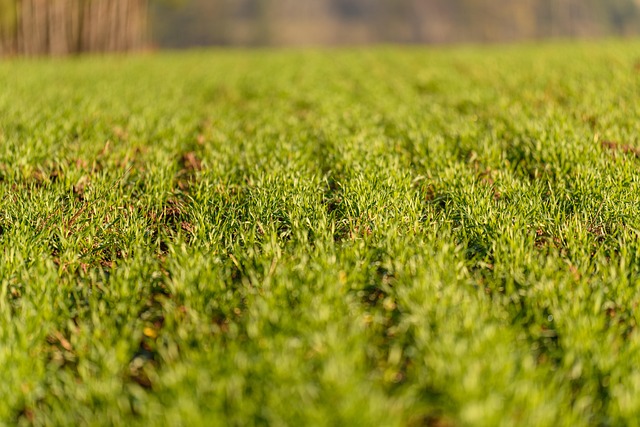 agriculture